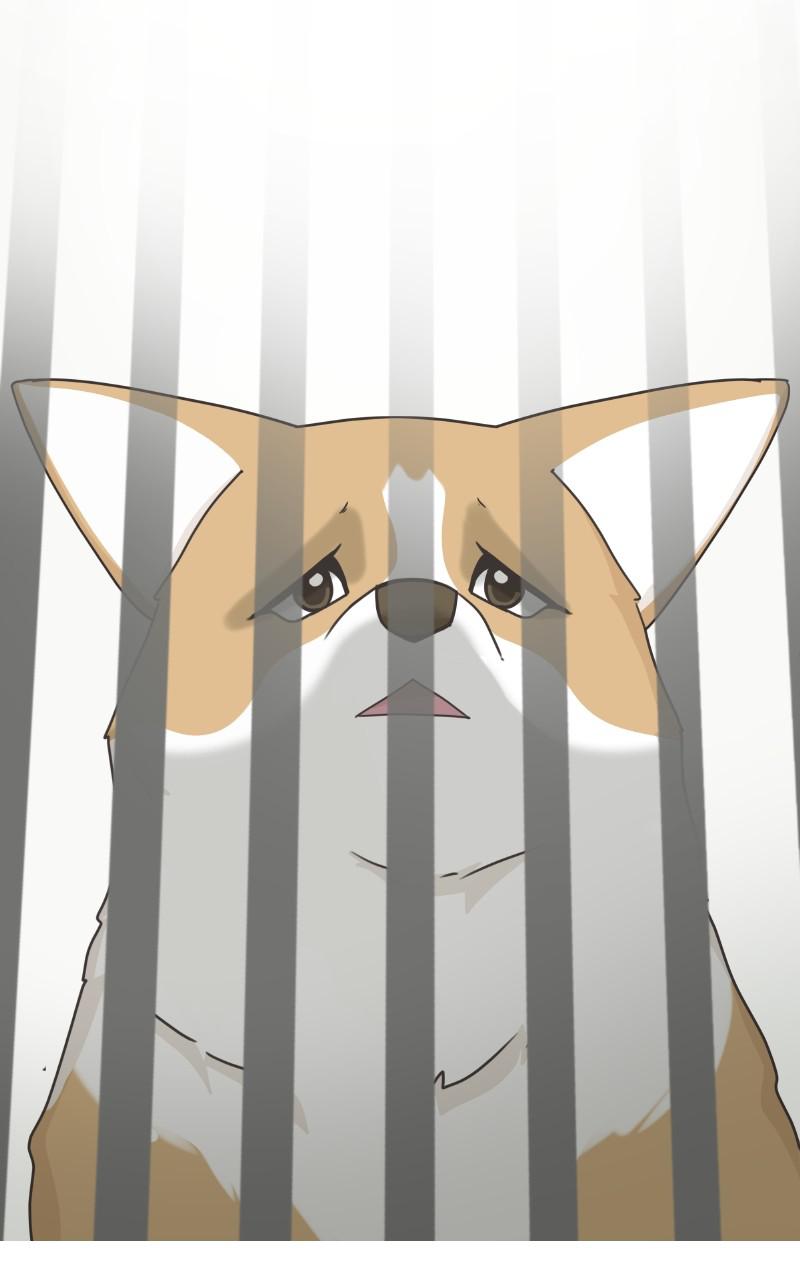 The Dog Diaries Chap 78 - Next Chap 79