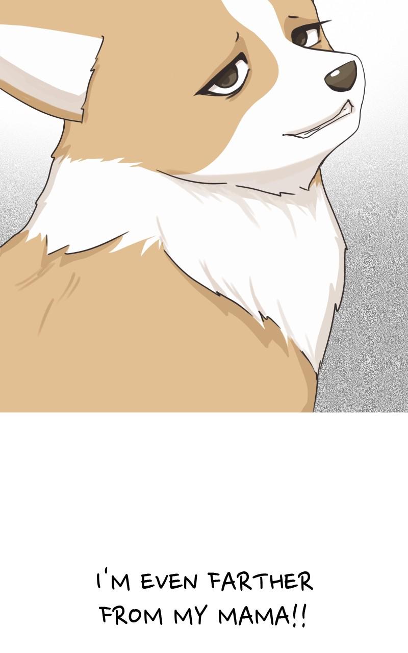The Dog Diaries Chap 78 - Next Chap 79