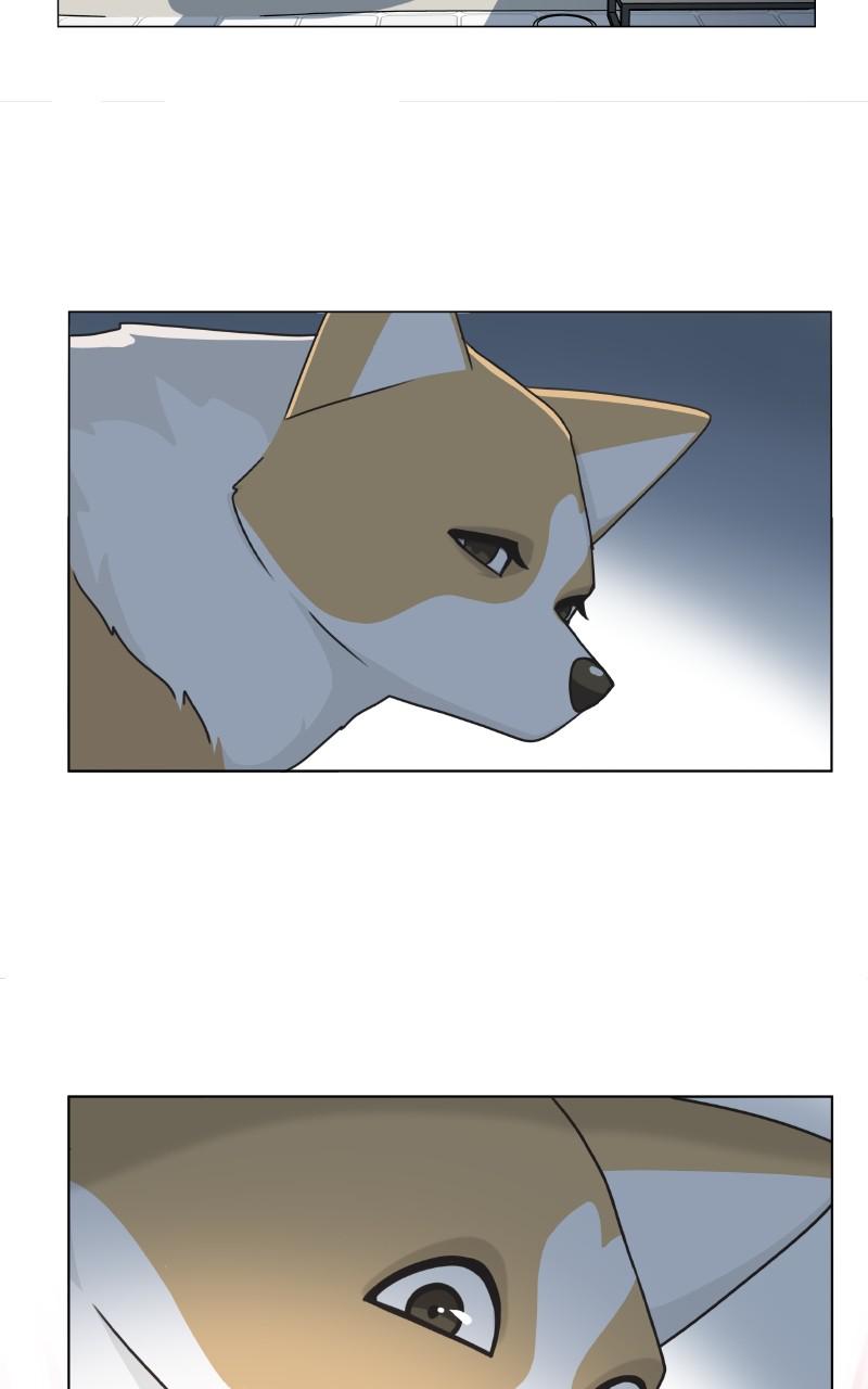 The Dog Diaries Chap 79 - Next Chap 80