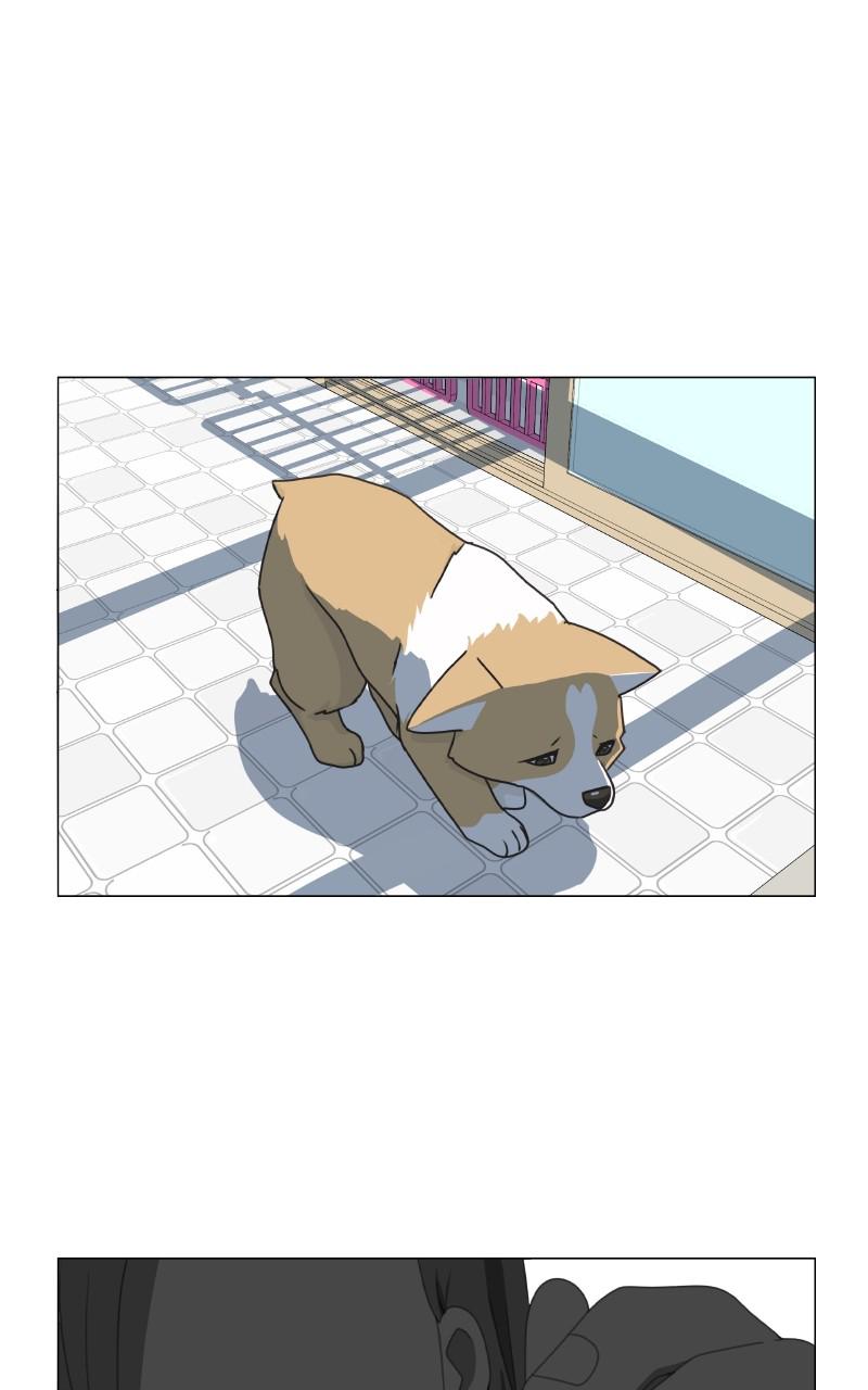 The Dog Diaries Chap 79 - Next Chap 80
