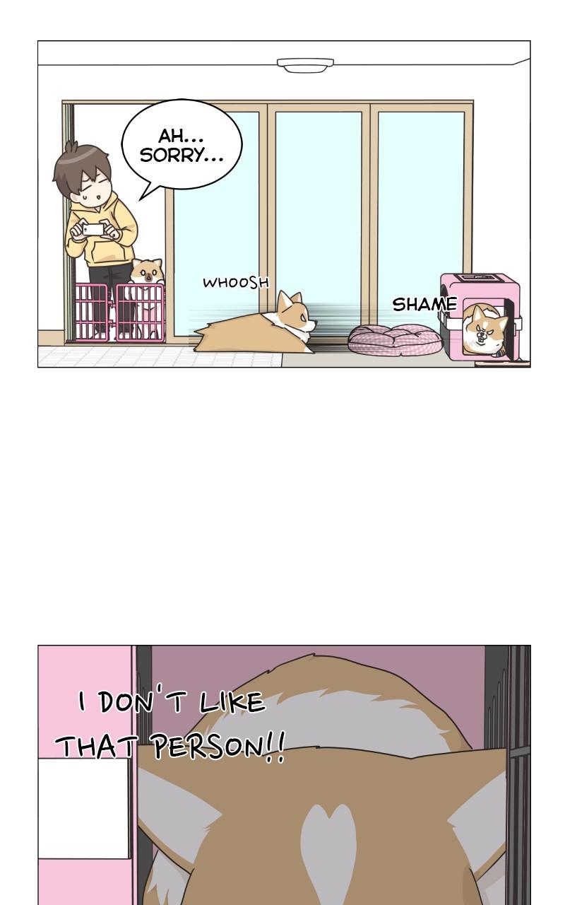 The Dog Diaries Chap 79 - Next Chap 80