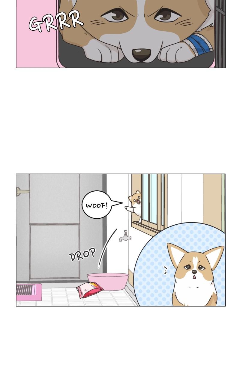 The Dog Diaries Chap 79 - Next Chap 80
