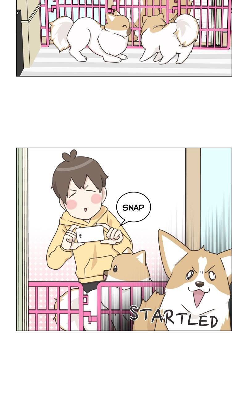The Dog Diaries Chap 79 - Next Chap 80
