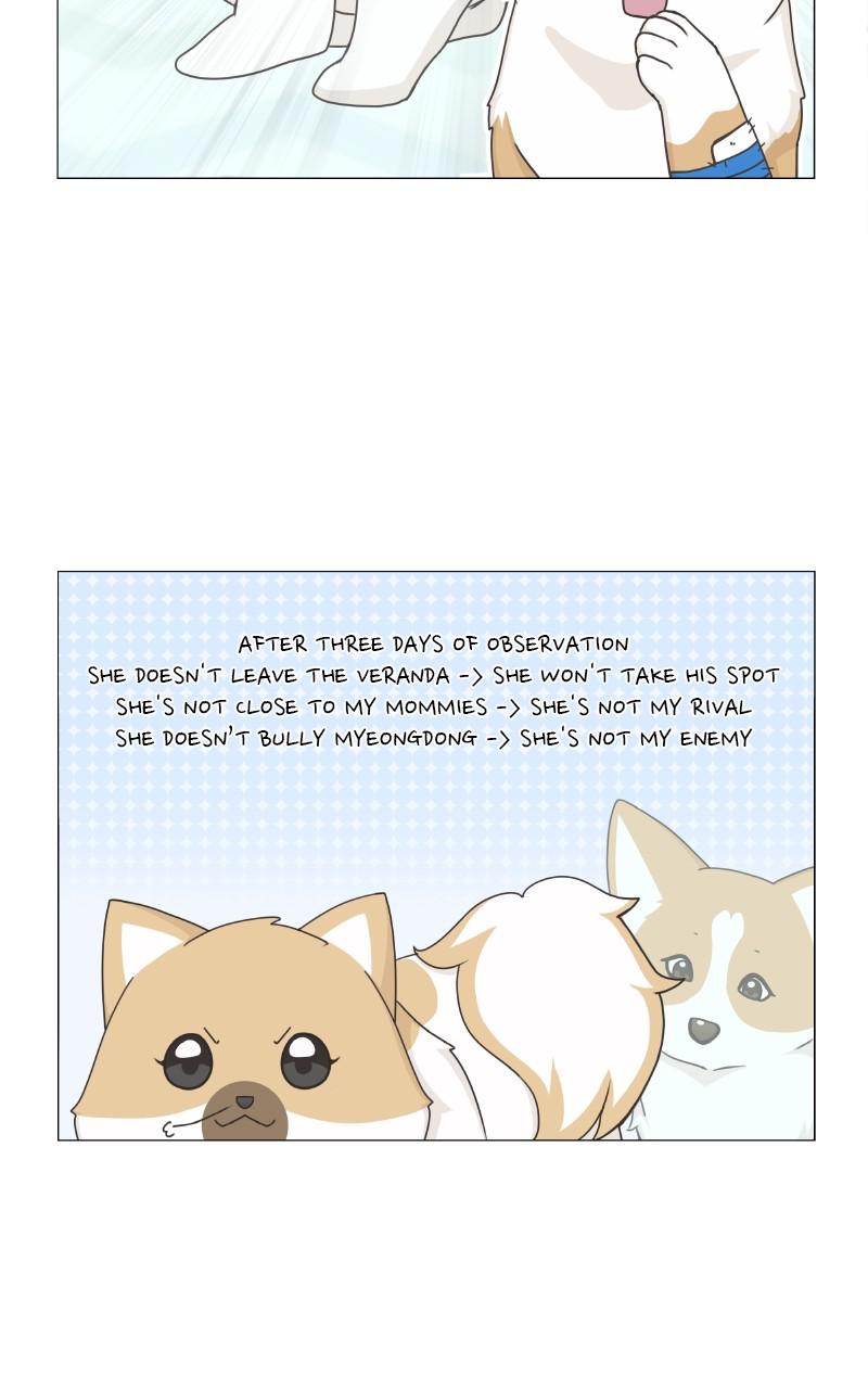 The Dog Diaries Chap 79 - Next Chap 80