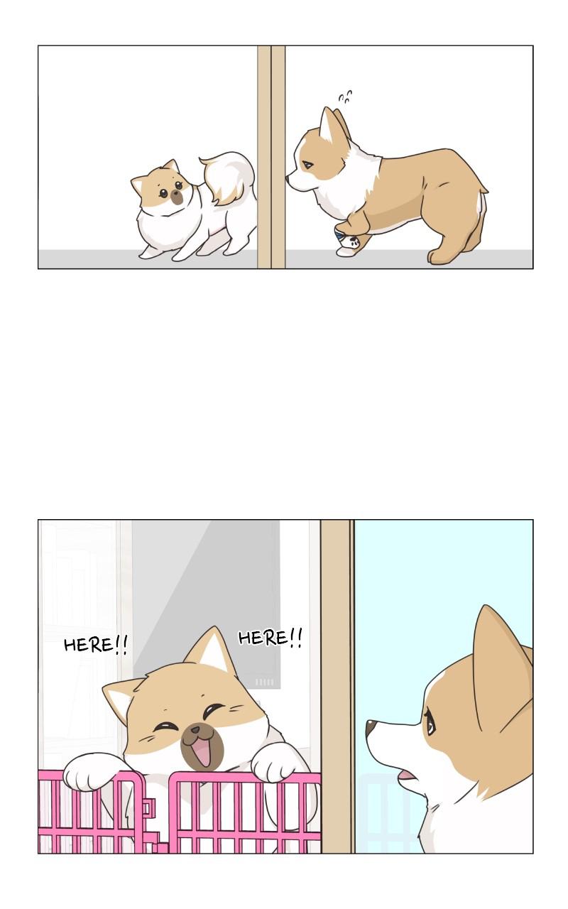 The Dog Diaries Chap 79 - Next Chap 80