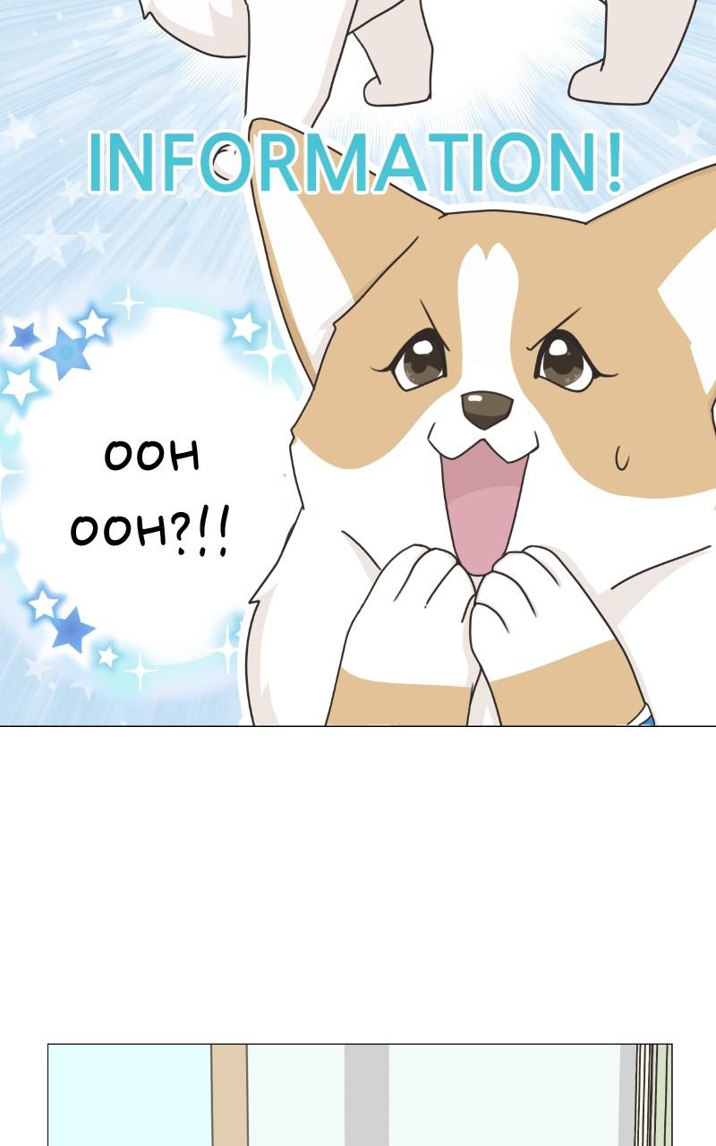 The Dog Diaries Chap 79 - Next Chap 80
