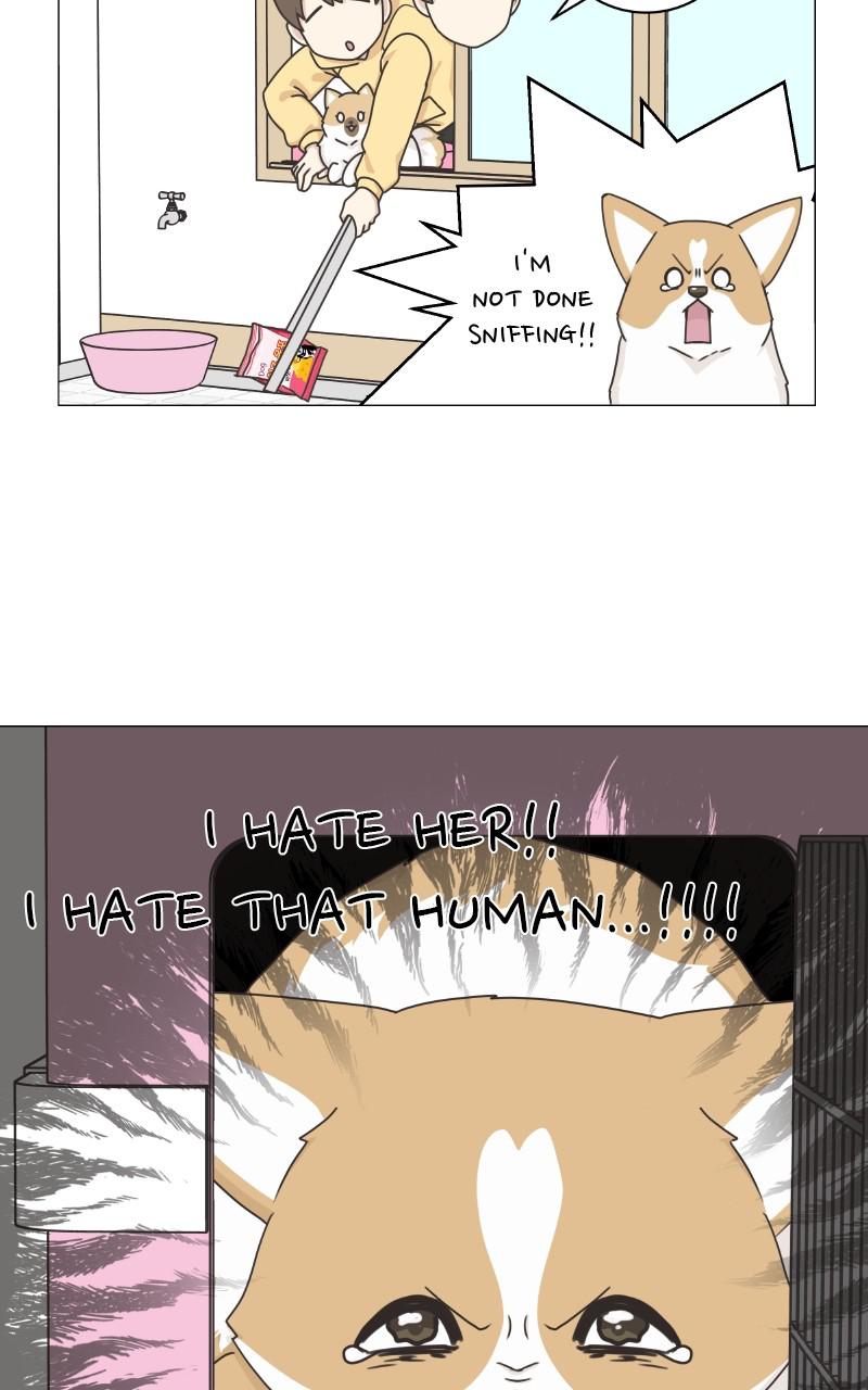 The Dog Diaries Chap 79 - Next Chap 80
