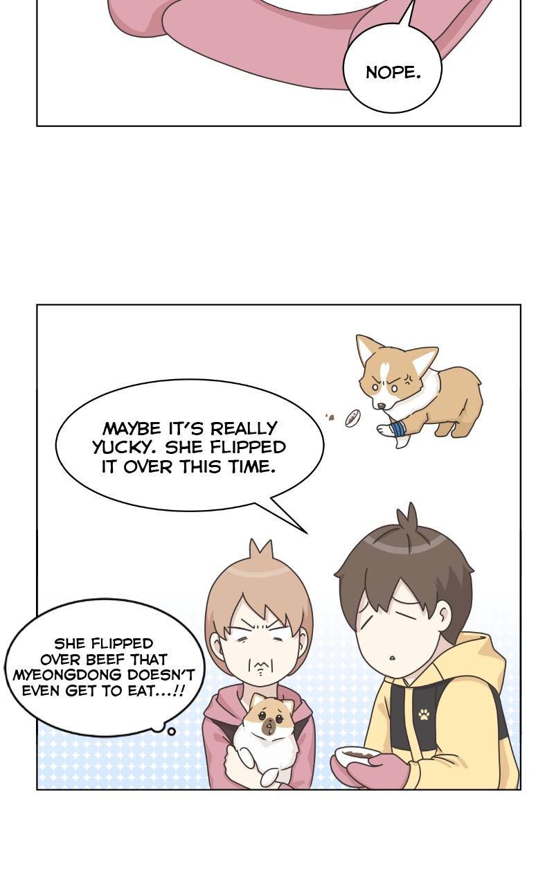 The Dog Diaries Chap 79 - Next Chap 80