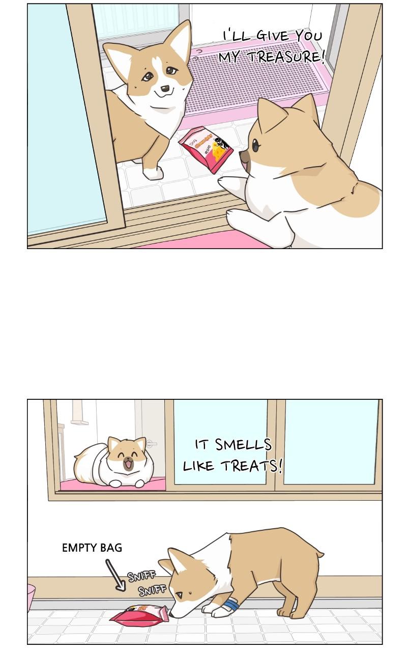 The Dog Diaries Chap 79 - Next Chap 80