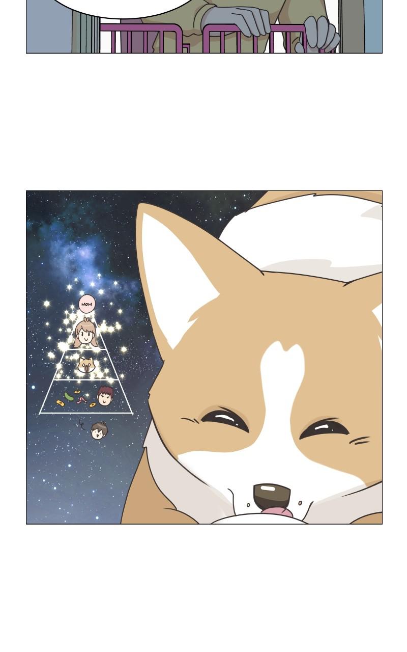 The Dog Diaries Chap 79 - Next Chap 80