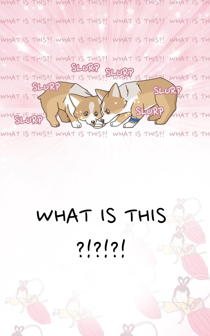 The Dog Diaries Chap 79 - Next Chap 80