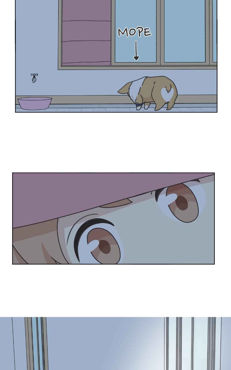 The Dog Diaries Chap 79 - Next Chap 80