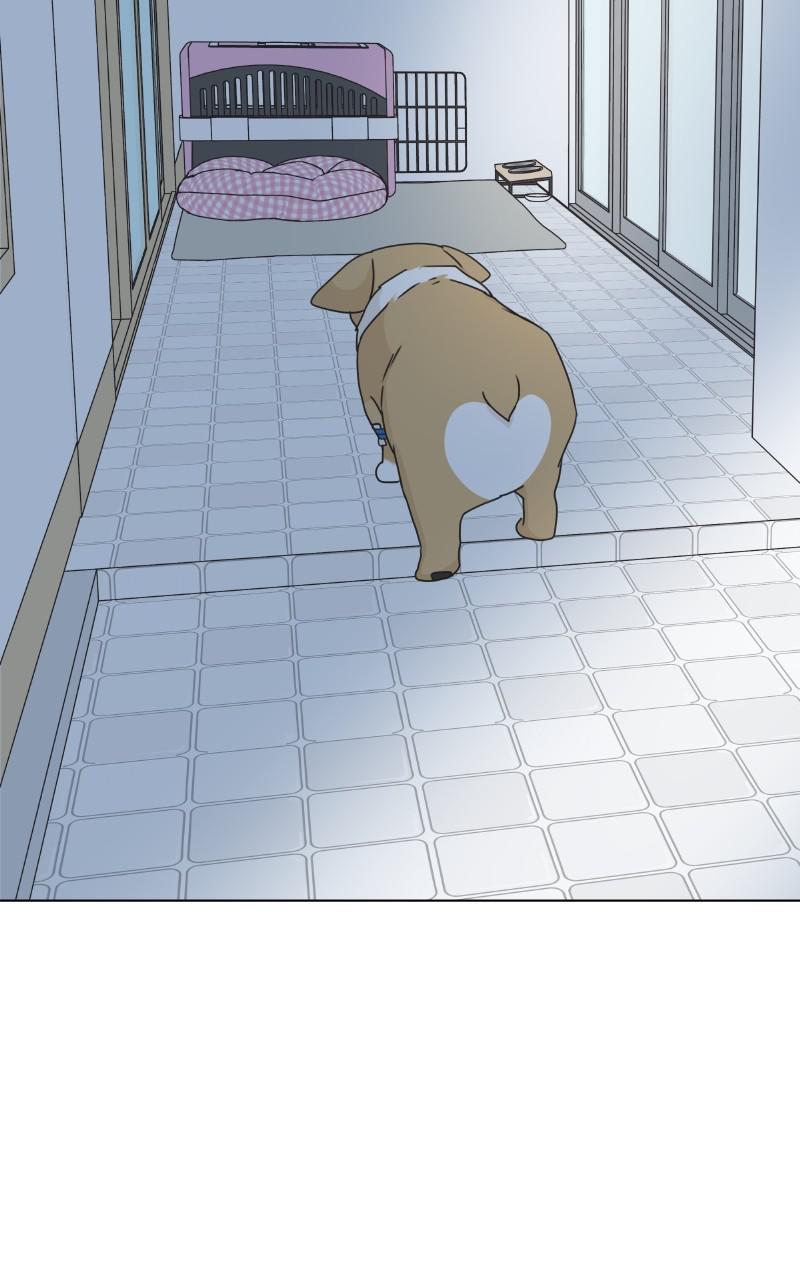 The Dog Diaries Chap 79 - Next Chap 80