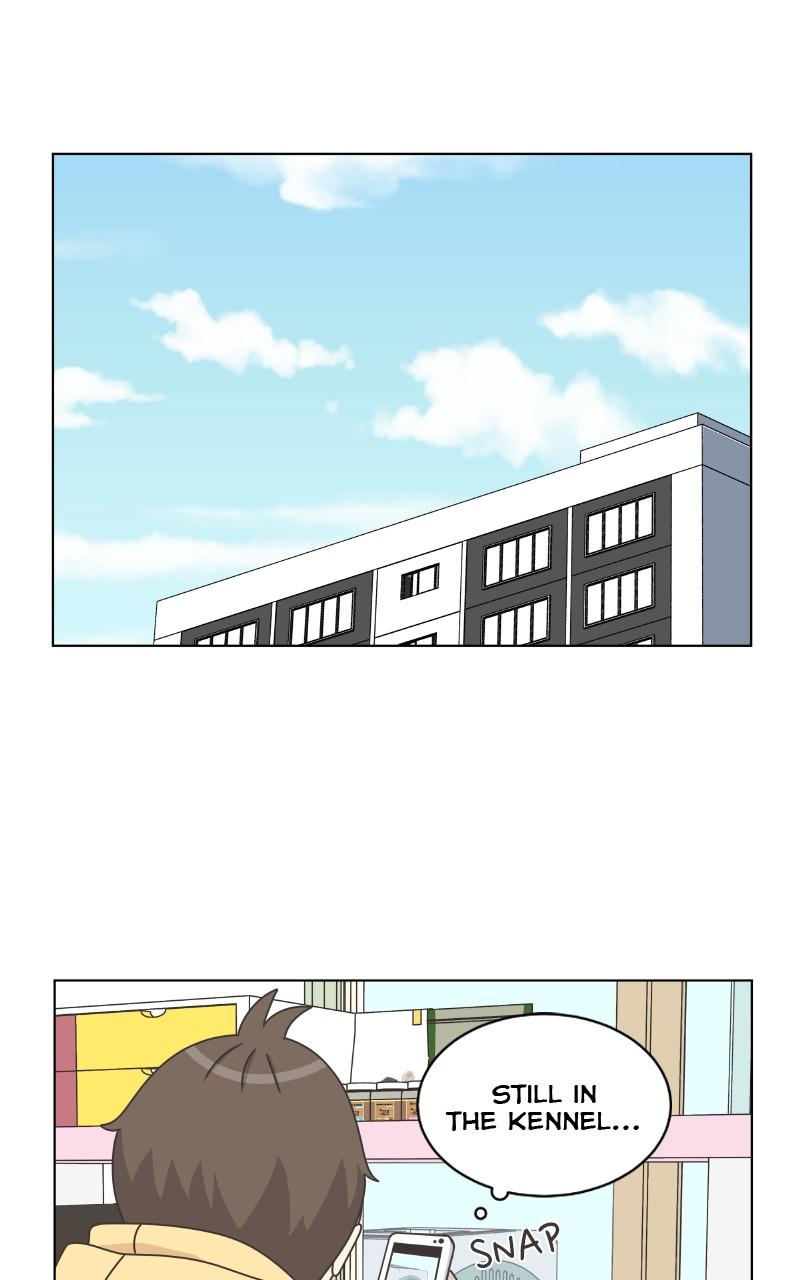 The Dog Diaries Chap 79 - Next Chap 80