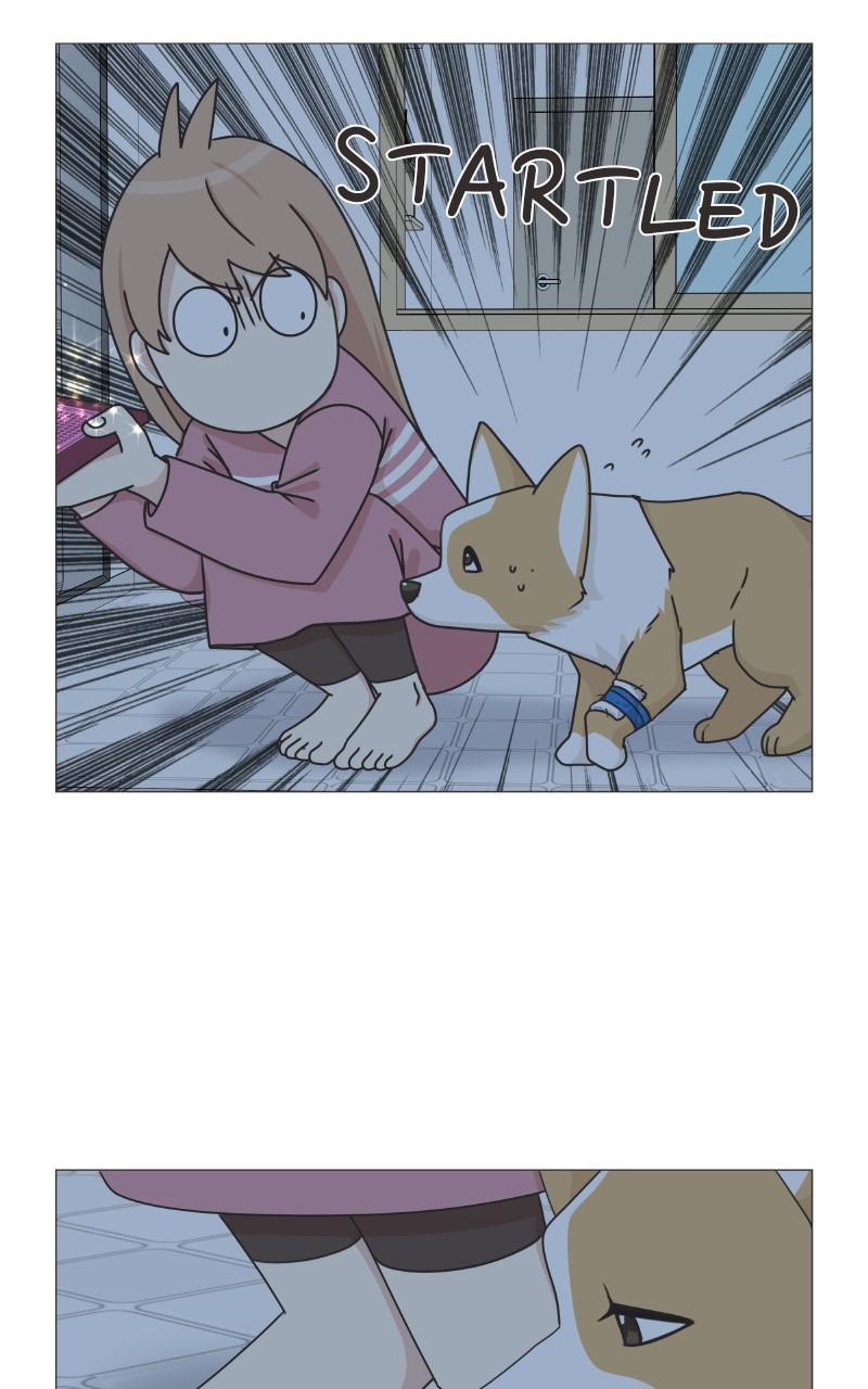 The Dog Diaries Chap 79 - Next Chap 80