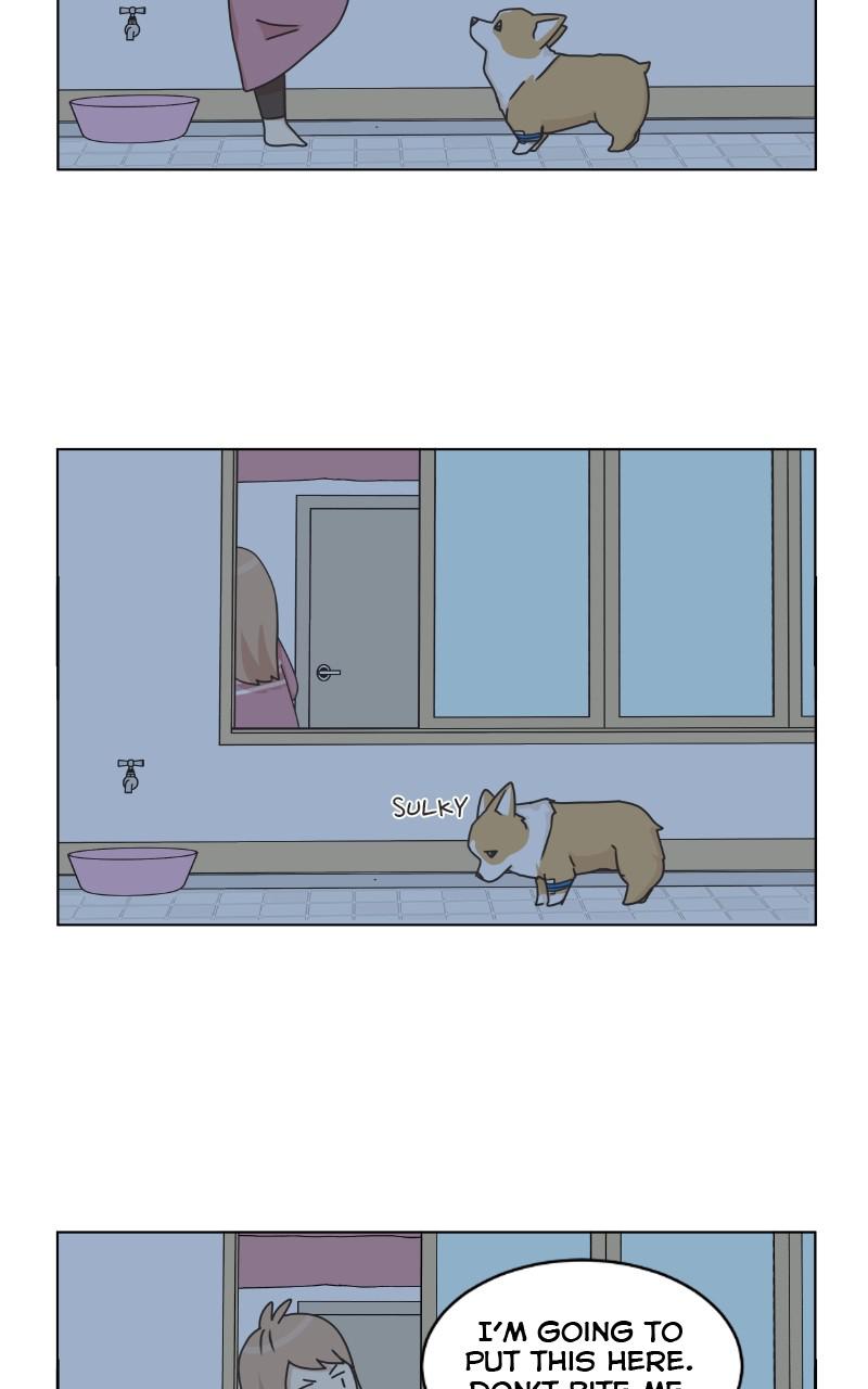 The Dog Diaries Chap 79 - Next Chap 80