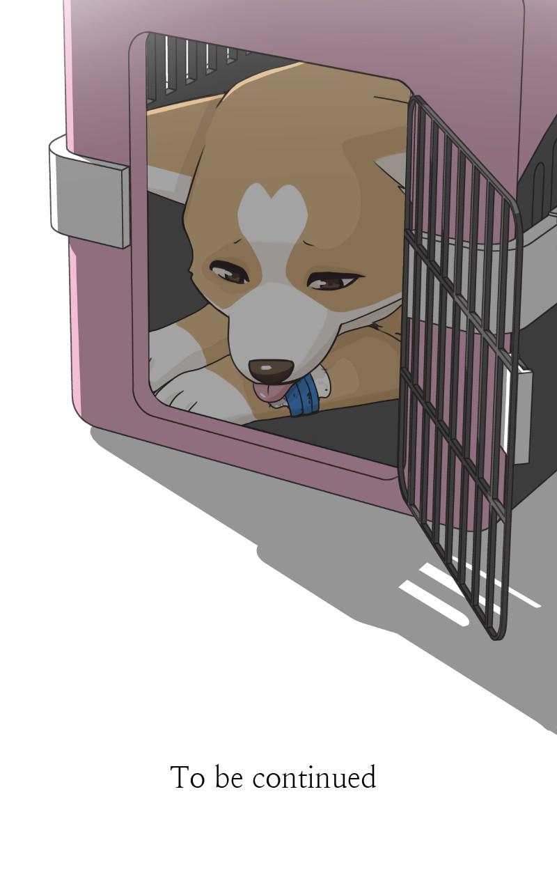 The Dog Diaries Chap 79 - Next Chap 80