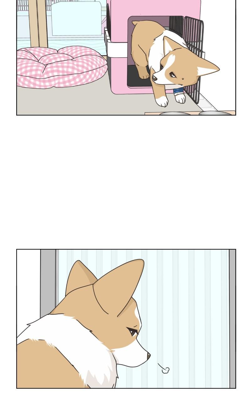 The Dog Diaries Chap 79 - Next Chap 80