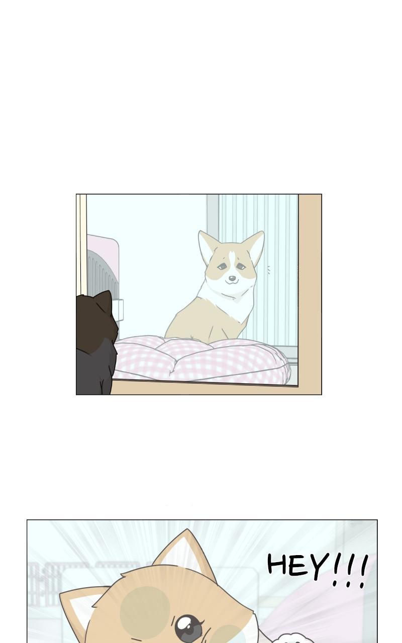 The Dog Diaries Chap 79 - Next Chap 80