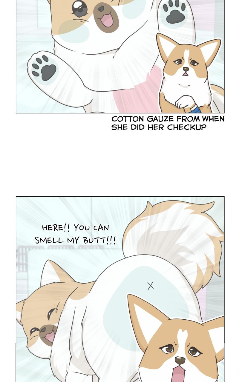 The Dog Diaries Chap 79 - Next Chap 80
