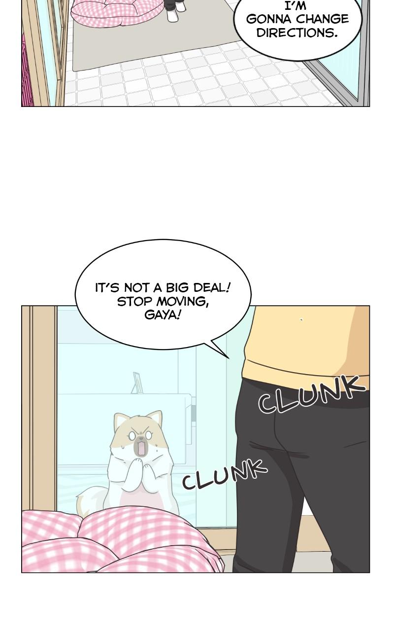 The Dog Diaries Chap 80 - Next Chap 81