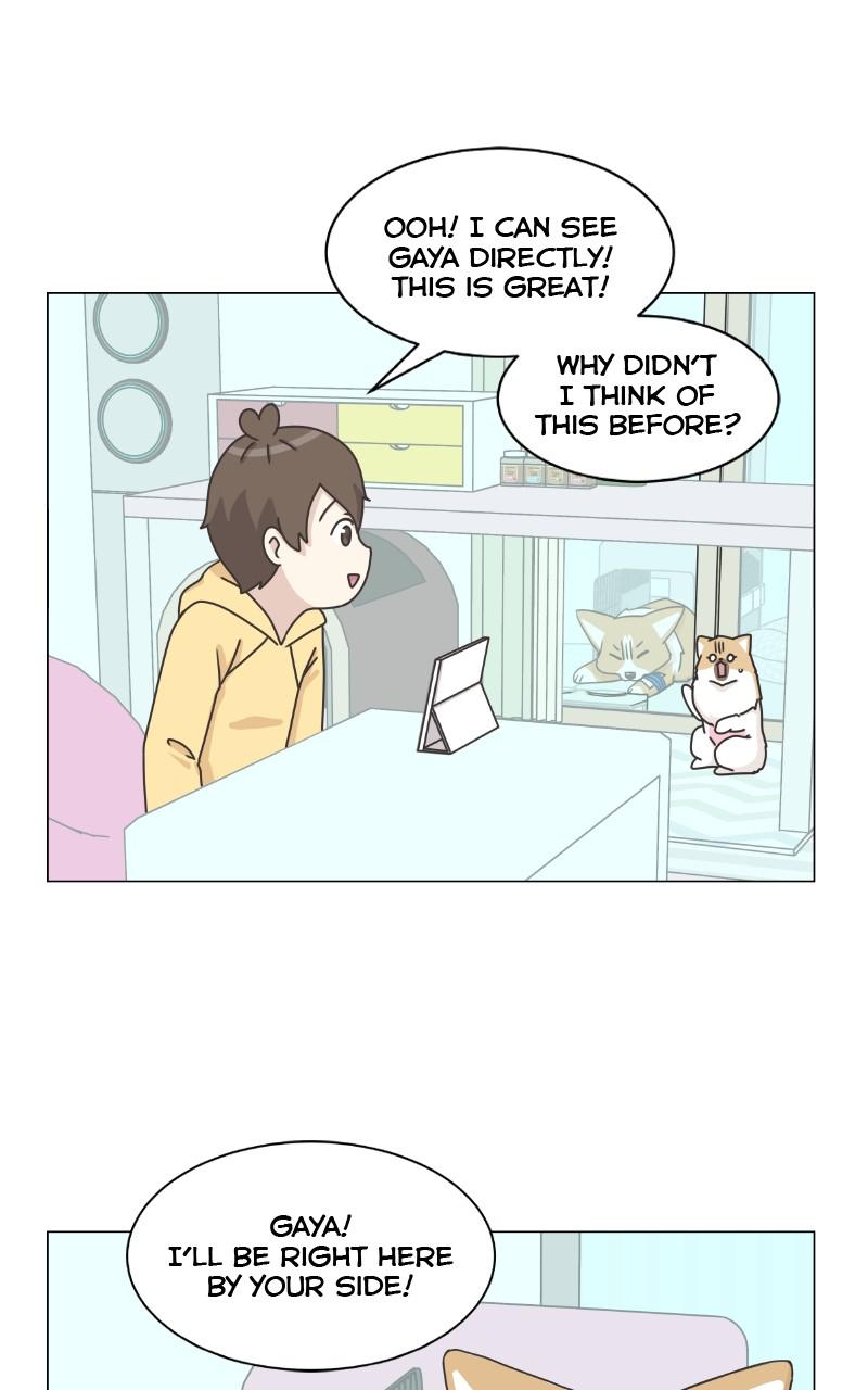 The Dog Diaries Chap 80 - Next Chap 81