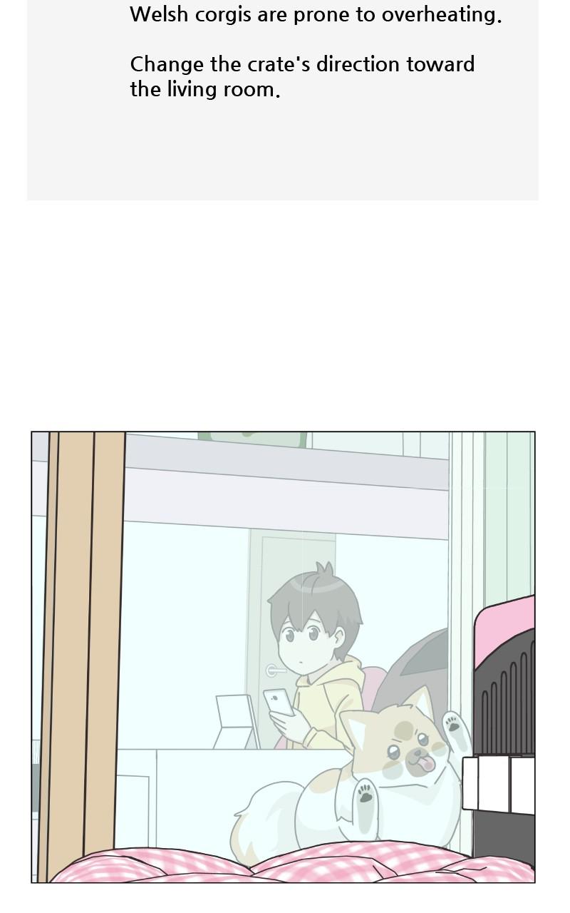 The Dog Diaries Chap 80 - Next Chap 81