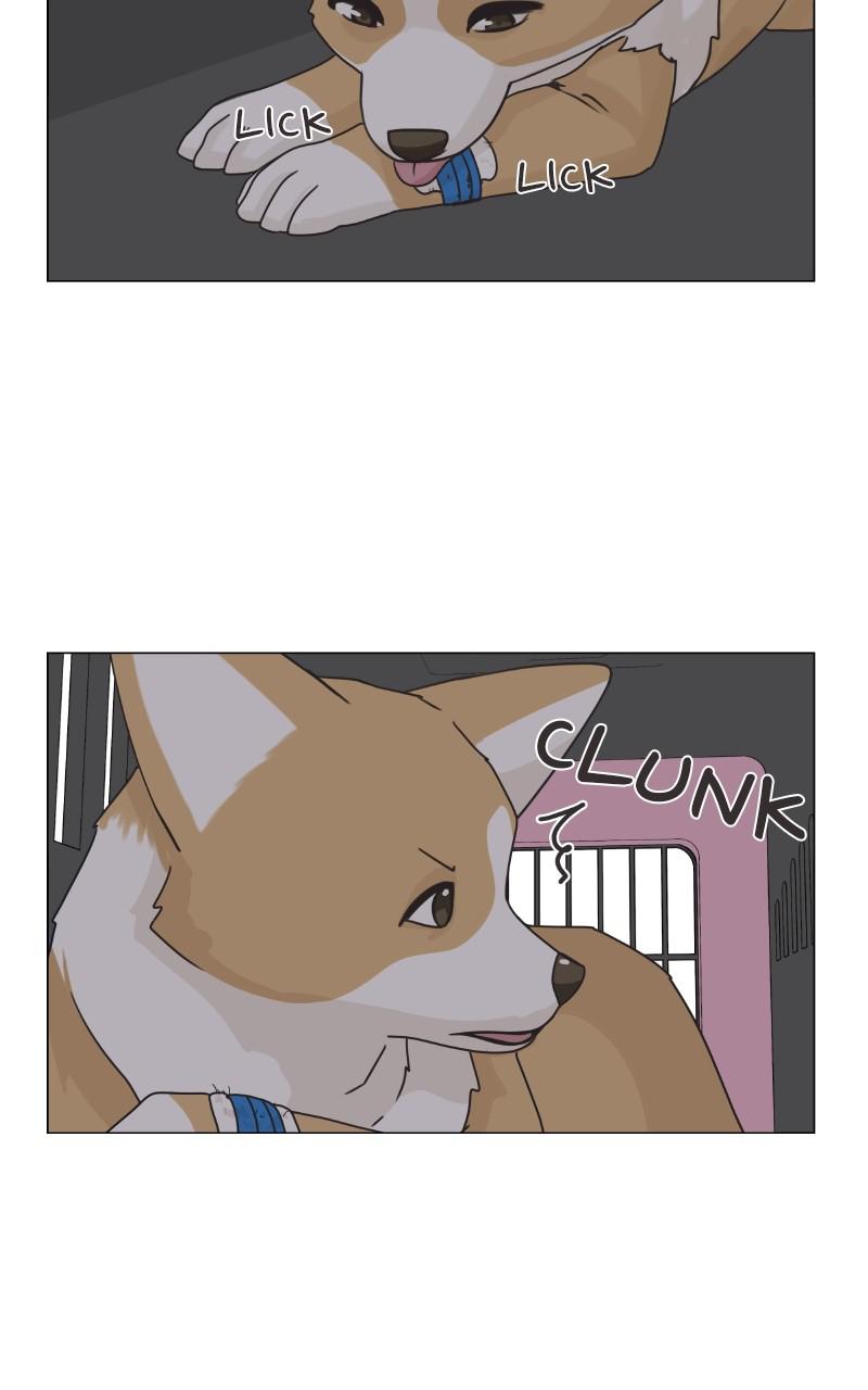The Dog Diaries Chap 80 - Next Chap 81