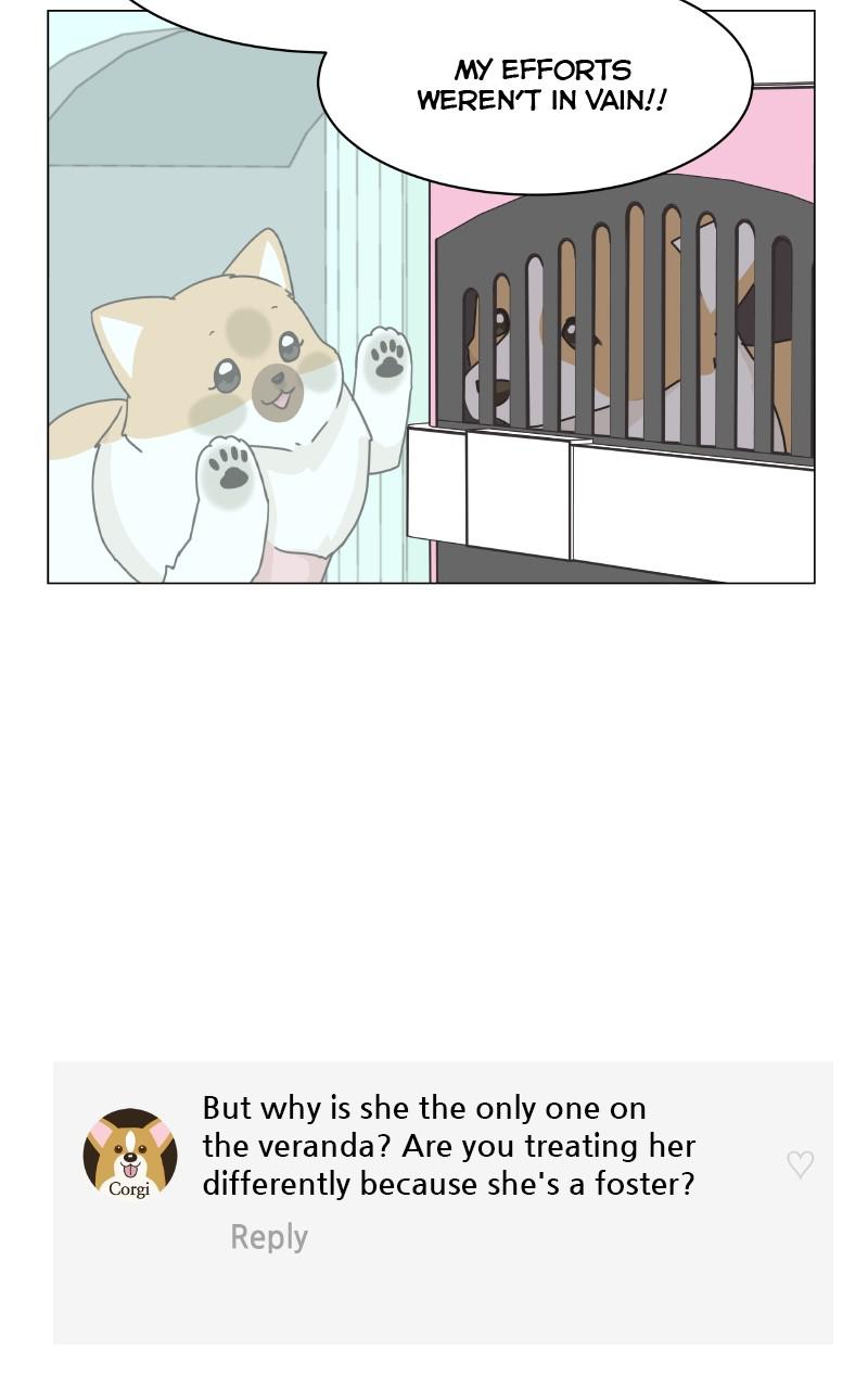 The Dog Diaries Chap 80 - Next Chap 81