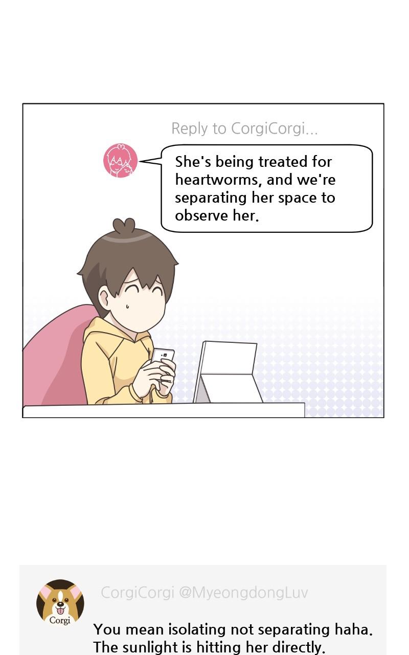 The Dog Diaries Chap 80 - Next Chap 81