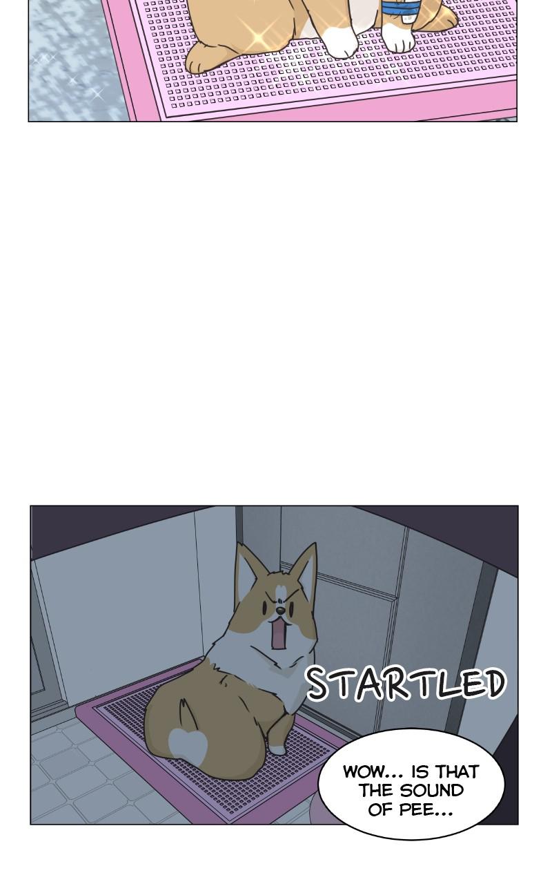 The Dog Diaries Chap 80 - Next Chap 81