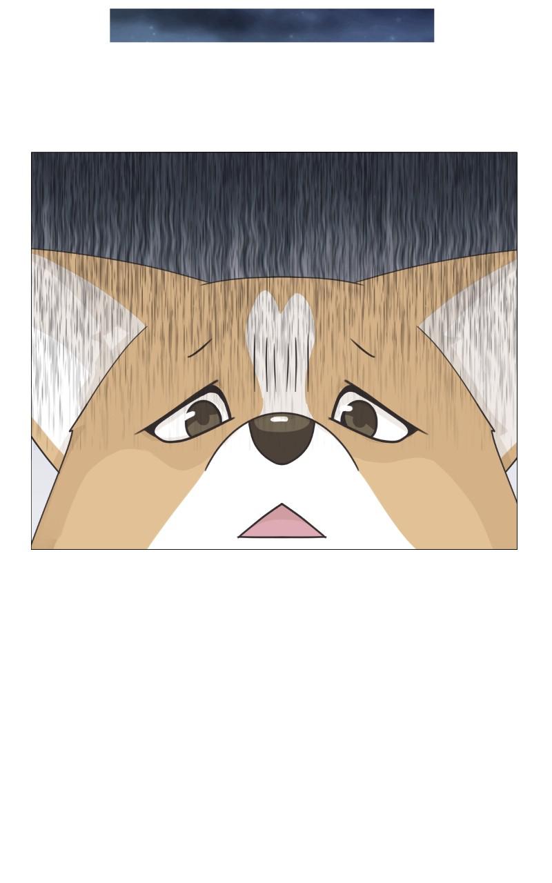 The Dog Diaries Chap 80 - Next Chap 81