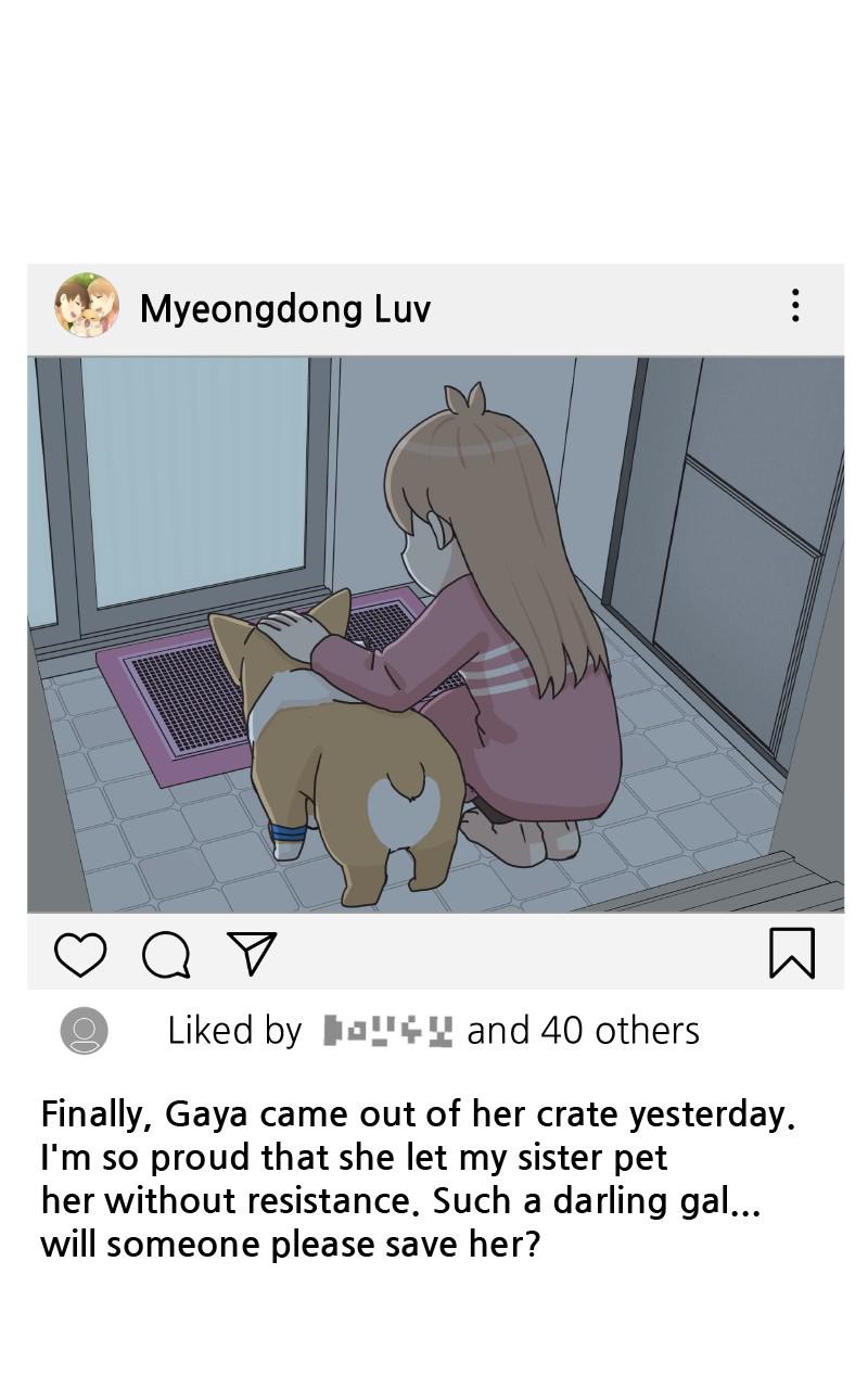 The Dog Diaries Chap 80 - Next Chap 81