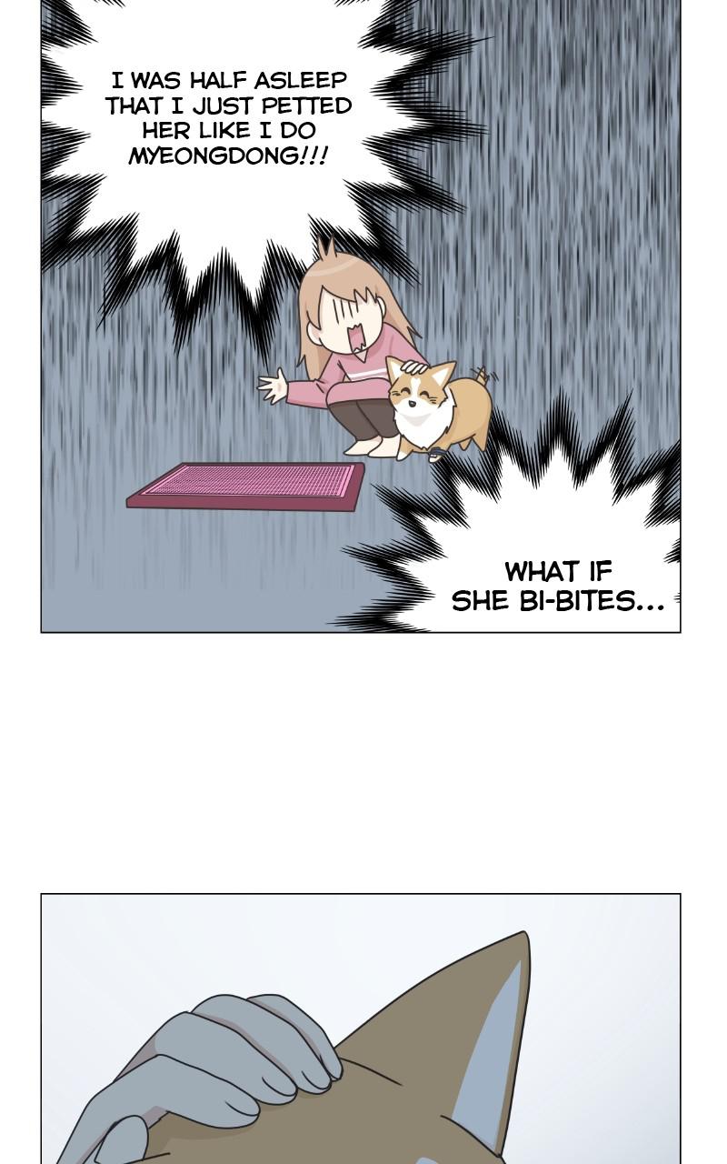The Dog Diaries Chap 80 - Next Chap 81