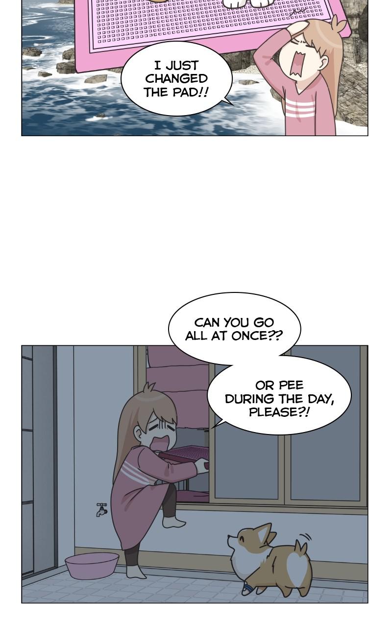 The Dog Diaries Chap 80 - Next Chap 81
