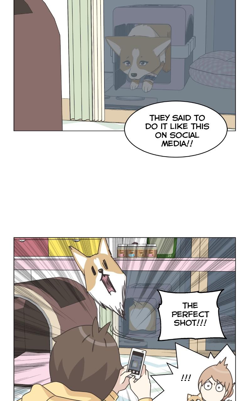 The Dog Diaries Chap 80 - Next Chap 81