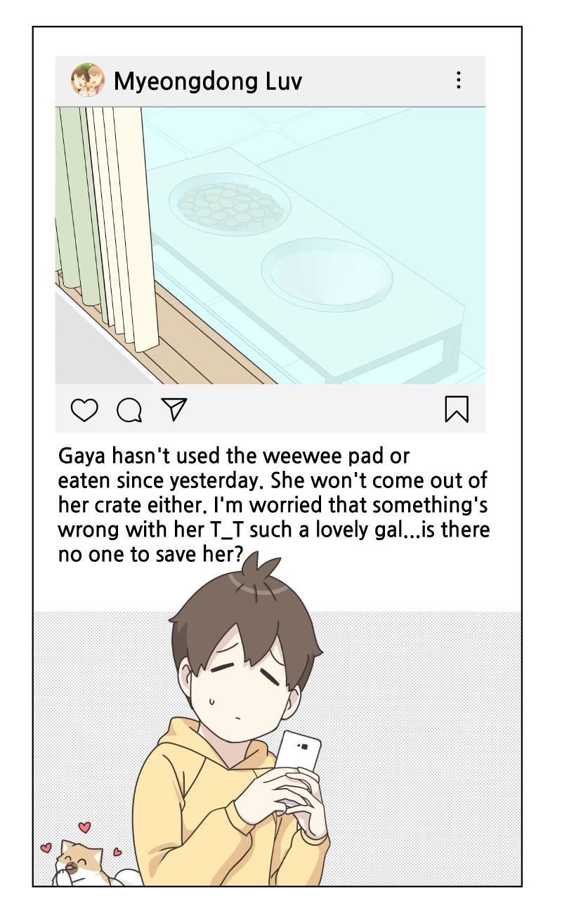 The Dog Diaries Chap 80 - Next Chap 81