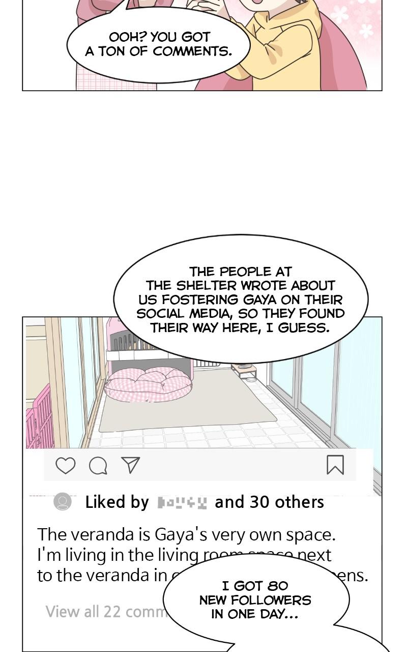 The Dog Diaries Chap 80 - Next Chap 81