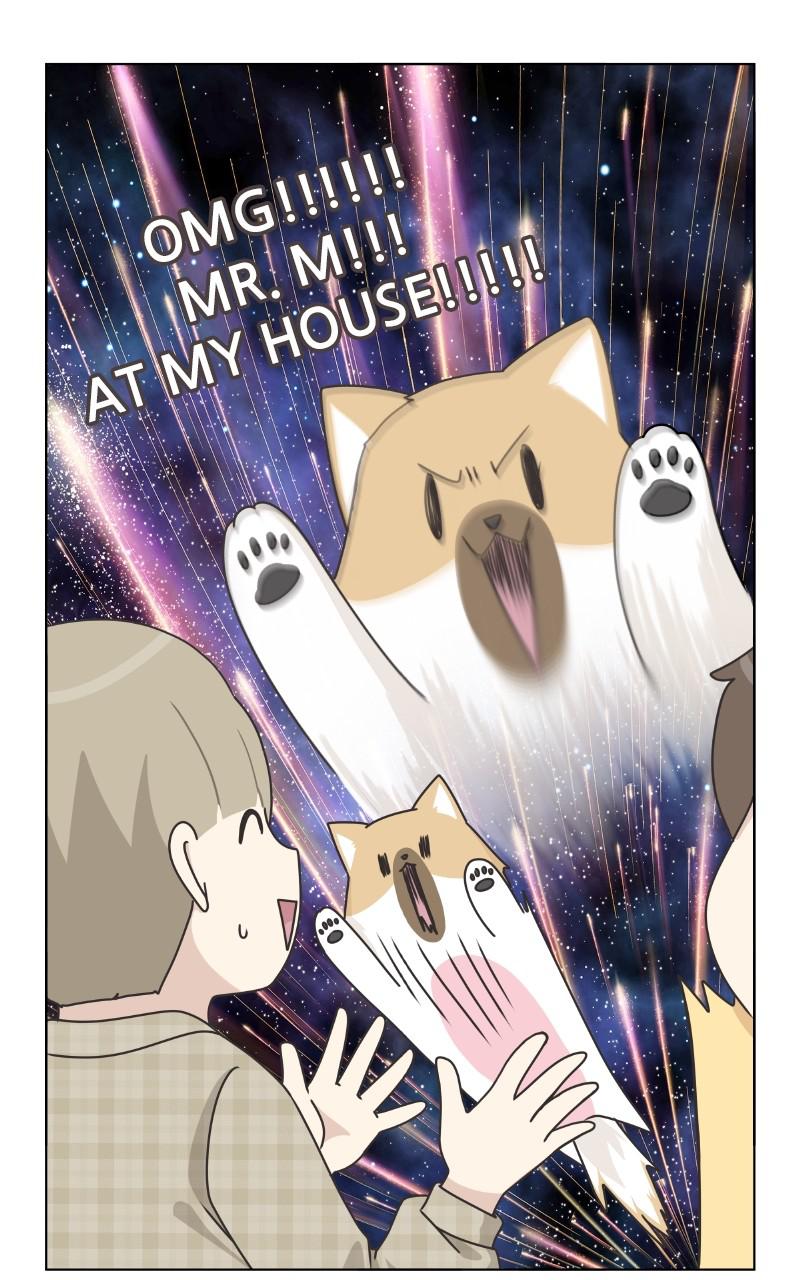 The Dog Diaries Chap 81 - Next Chap 82