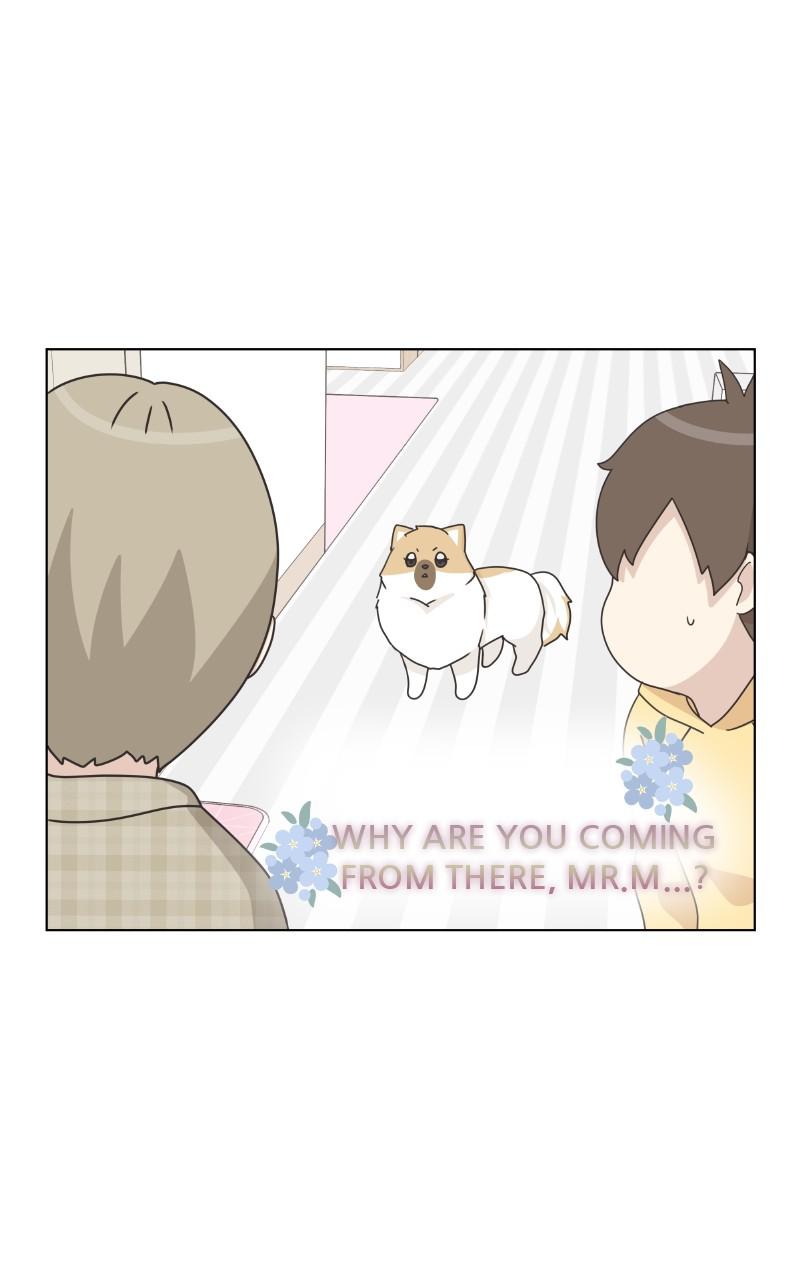 The Dog Diaries Chap 81 - Next Chap 82