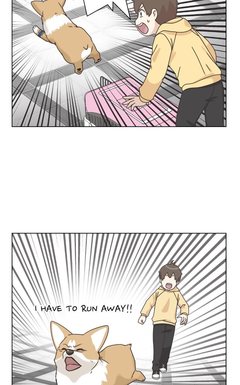 The Dog Diaries Chap 81 - Next Chap 82