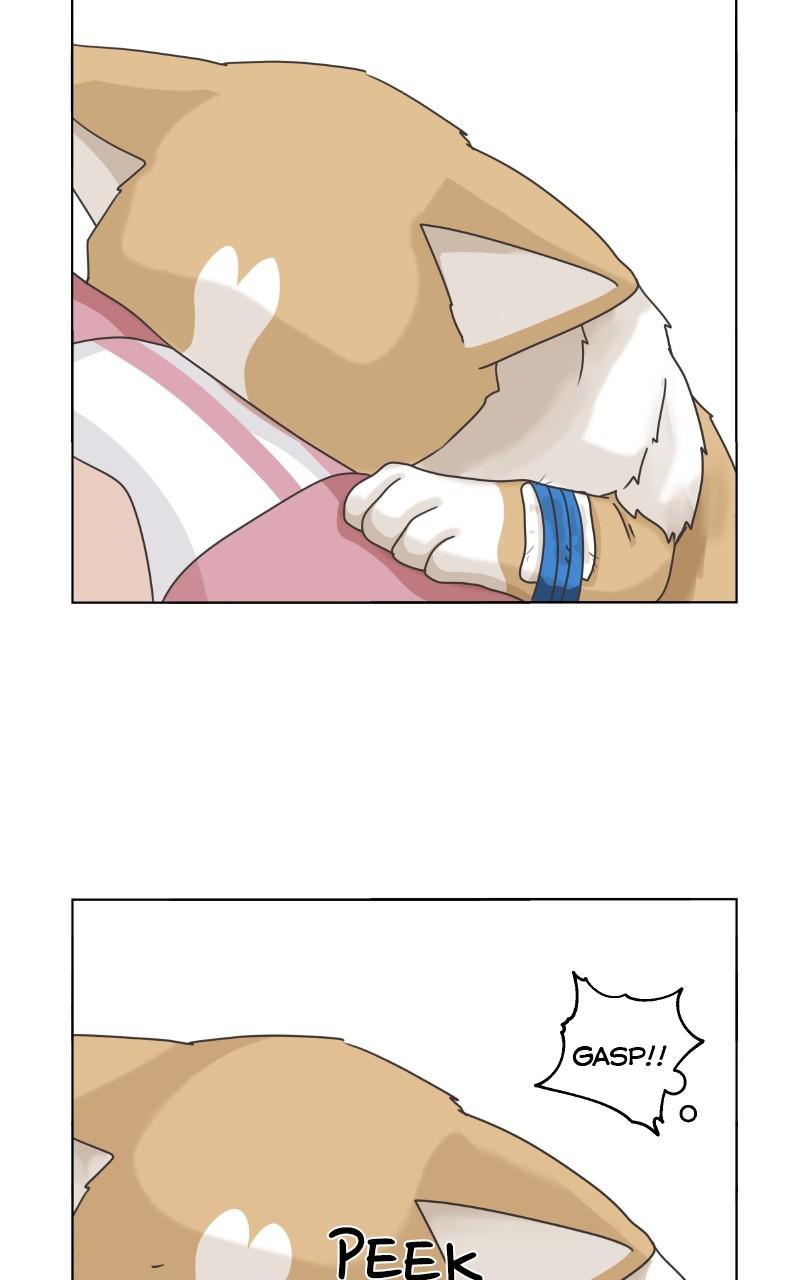 The Dog Diaries Chap 81 - Next Chap 82