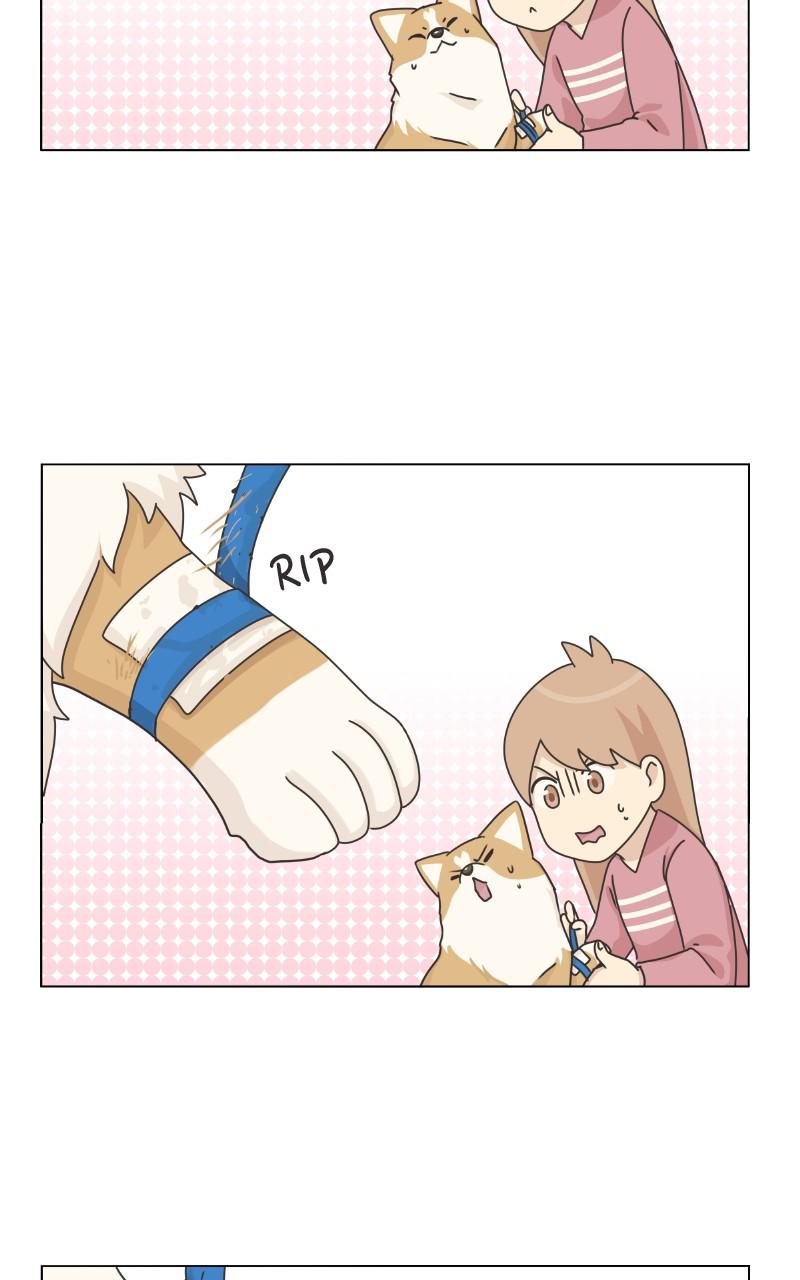 The Dog Diaries Chap 81 - Next Chap 82