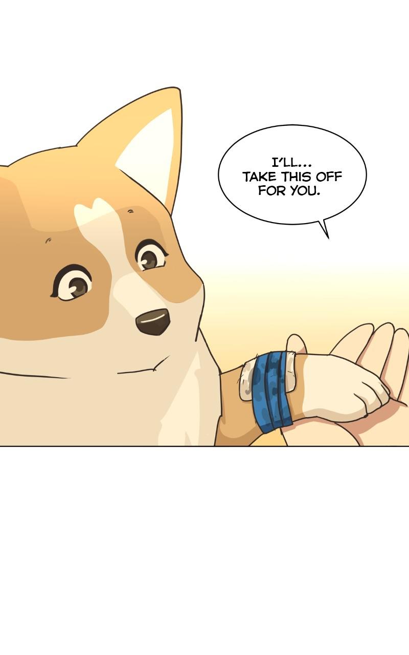 The Dog Diaries Chap 81 - Next Chap 82