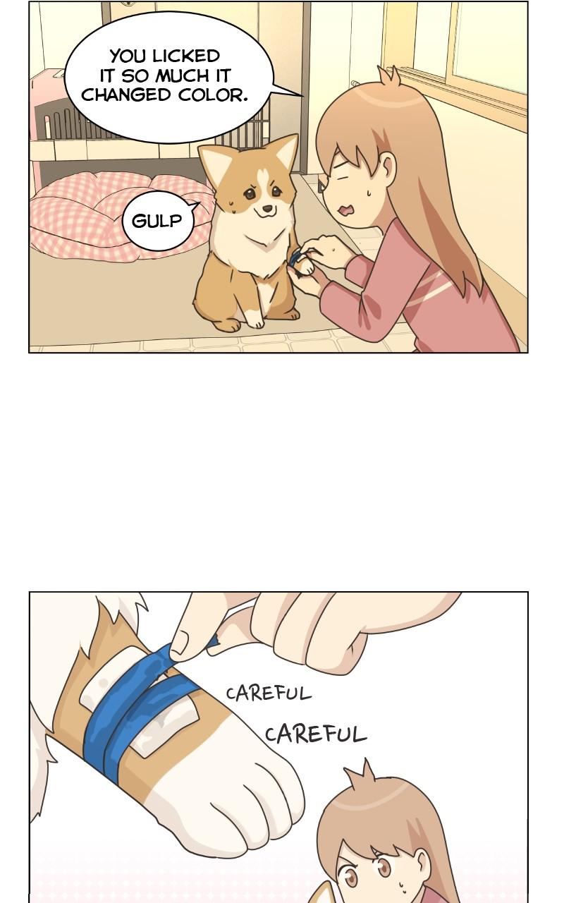 The Dog Diaries Chap 81 - Next Chap 82