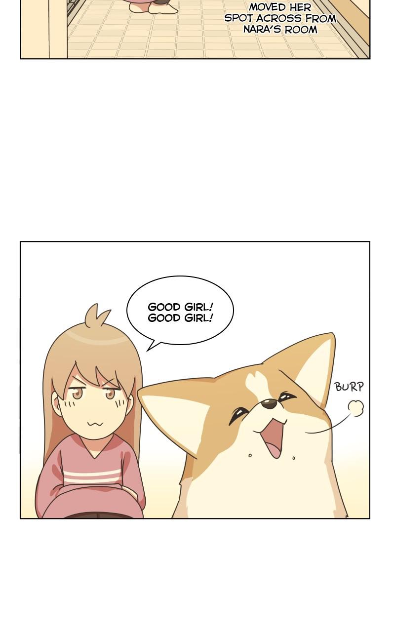 The Dog Diaries Chap 81 - Next Chap 82
