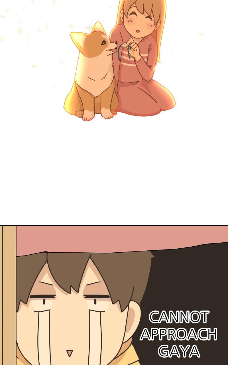 The Dog Diaries Chap 81 - Next Chap 82