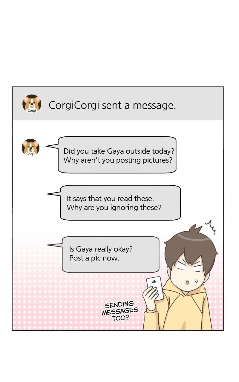 The Dog Diaries Chap 81 - Next Chap 82