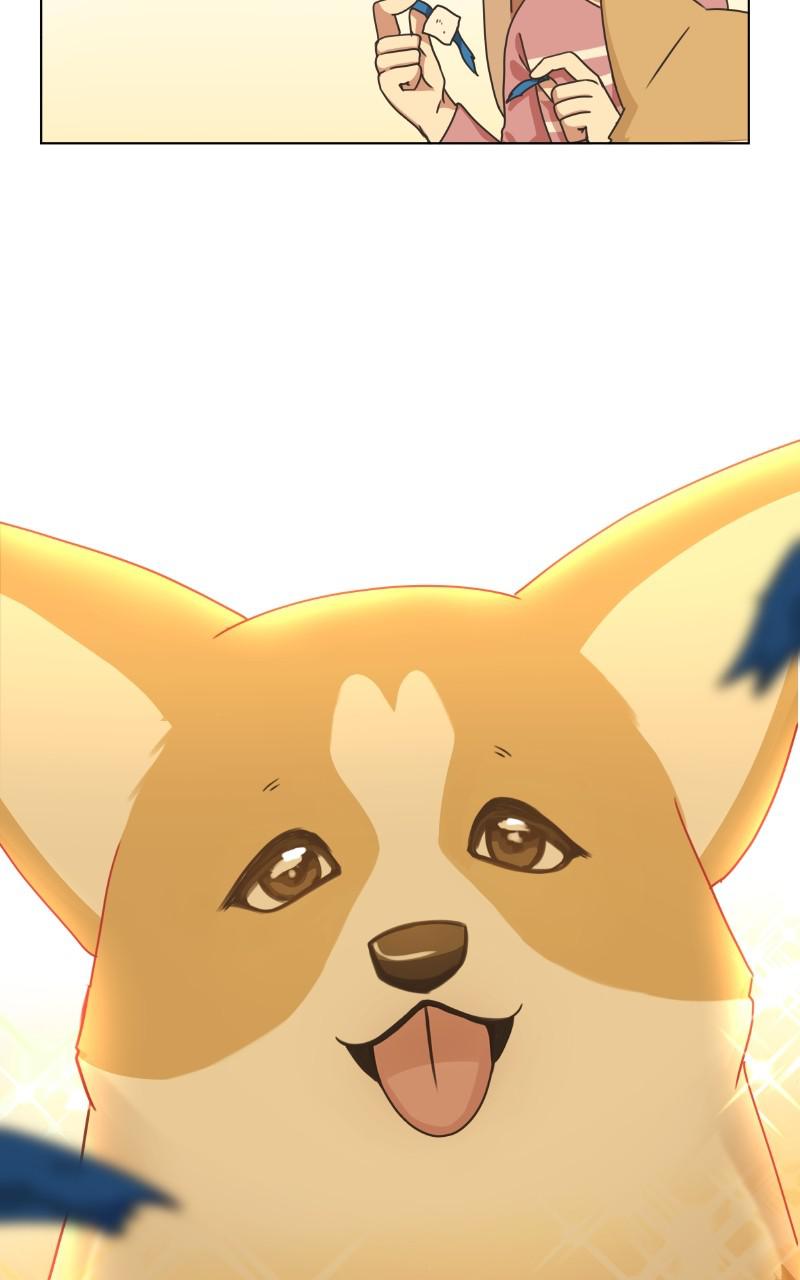 The Dog Diaries Chap 81 - Next Chap 82