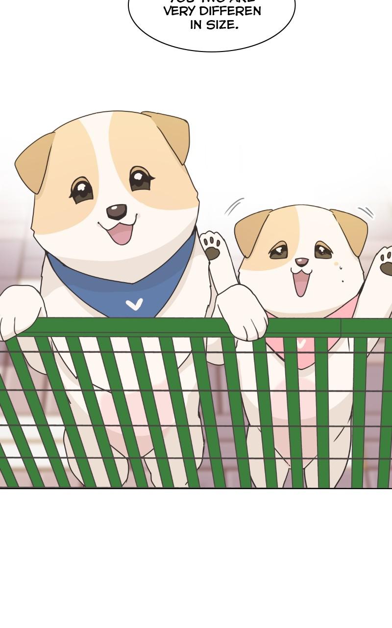 The Dog Diaries Chap 81 - Next Chap 82